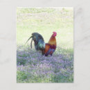Buscar gallinero postales Pájaro
