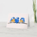 Buscar bluebirds Bebé
