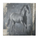 Buscar ecuestres azulejos Equitación