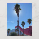 Buscar socal postales Palmera