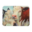 Buscar vacas lindas imanes Animales de granja