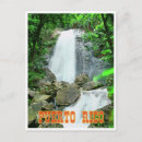 Buscar coca postales Bosque