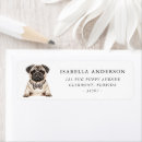 Buscar pug etiquetas Cachorro