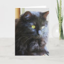 Buscar long tarjetas Animal