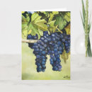 Buscar uvas tarjetas Plantas