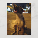 Buscar bostezo postales Perro