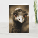 Buscar ostriches tarjetas Avestruz