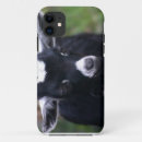Buscar corderos iphone fundas Bebé