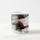 Buscar firefox tazas Oso