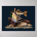 Buscar torneos posters Pesca