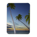 Buscar fiji imanes Costa