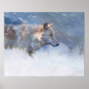 Buscar de lobos posters Lobo gris