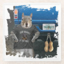 Buscar nutz Ardilla