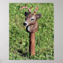 Buscar adorne posters Naturaleza