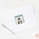 Buscar moggy Amante de los gatos