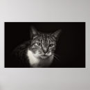 Buscar plato posters Blanco y negro
