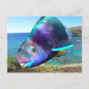 Buscar oahu hawaii postales Tortuga