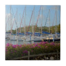 Buscar caribbean azulejos Danita delimont