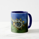 Buscar avispas tazas Insecto