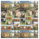 Buscar vacas telas Ganado
