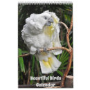 Buscar pájaros calendarios Pavo real