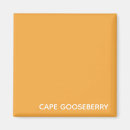 Buscar china imanes Amarillo