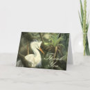 Buscar garza blanca tarjetas Egret