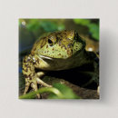 Buscar toro chapas Vida silvestre