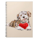 Buscar corazón rojo cuadernos Para niños