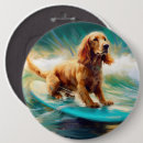 Buscar cocker spaniel chapas Para todos