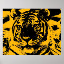 Buscar tigre siberiano posters Gatos salvajes