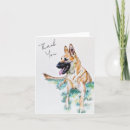 Buscar belga malinois tarjetas Pastor alemán