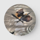 Buscar el oc arte Águila y océano