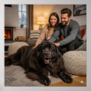 Buscar perro de terranova posters Neonatal