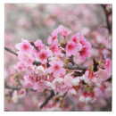 Buscar flor de cerezo japonesa azulejos Flores de primavera