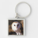 Buscar rapaz accesorios Animal