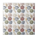 Buscar concha azulejos Casa de playa