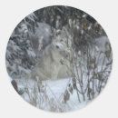 Buscar husky siberiano pegatinas Invierno