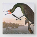 Buscar audubon relojes de pared Granger