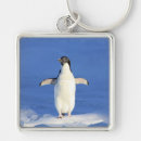 Buscar pingüino llaveros Agua