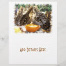 Buscar mariposa flyers Naturaleza