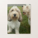 Buscar pequeño perro puzzles Raza de perro