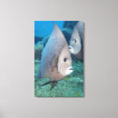 Buscar submarino lienzos Natación