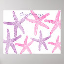 Buscar equinodermos posters Playa