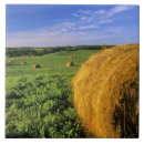 Buscar cercas azulejos Tierras de cultivo