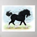 Buscar azote posters General y unisex