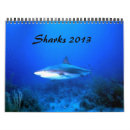 Buscar tiburón calendarios Tiburones