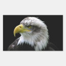 Buscar bald eagle pegatinas Estados unidos