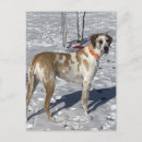 Buscar ojos tristes postales Perro