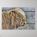 Buscar vacas posters General y unisex